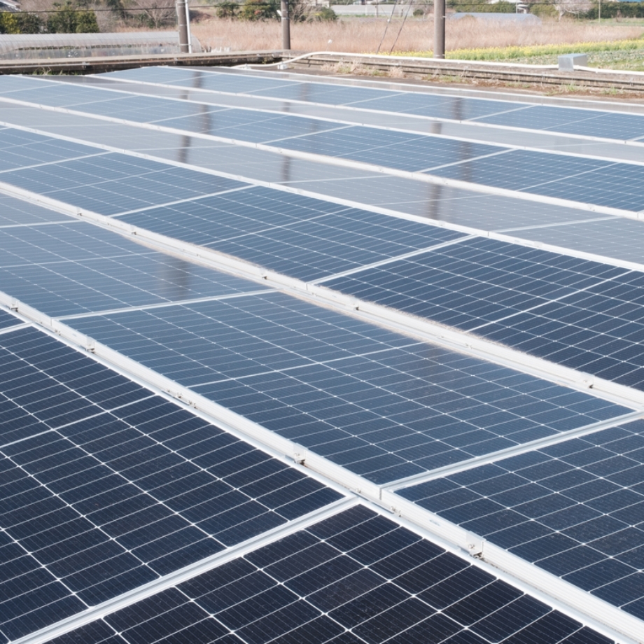 気候変動への向き合い