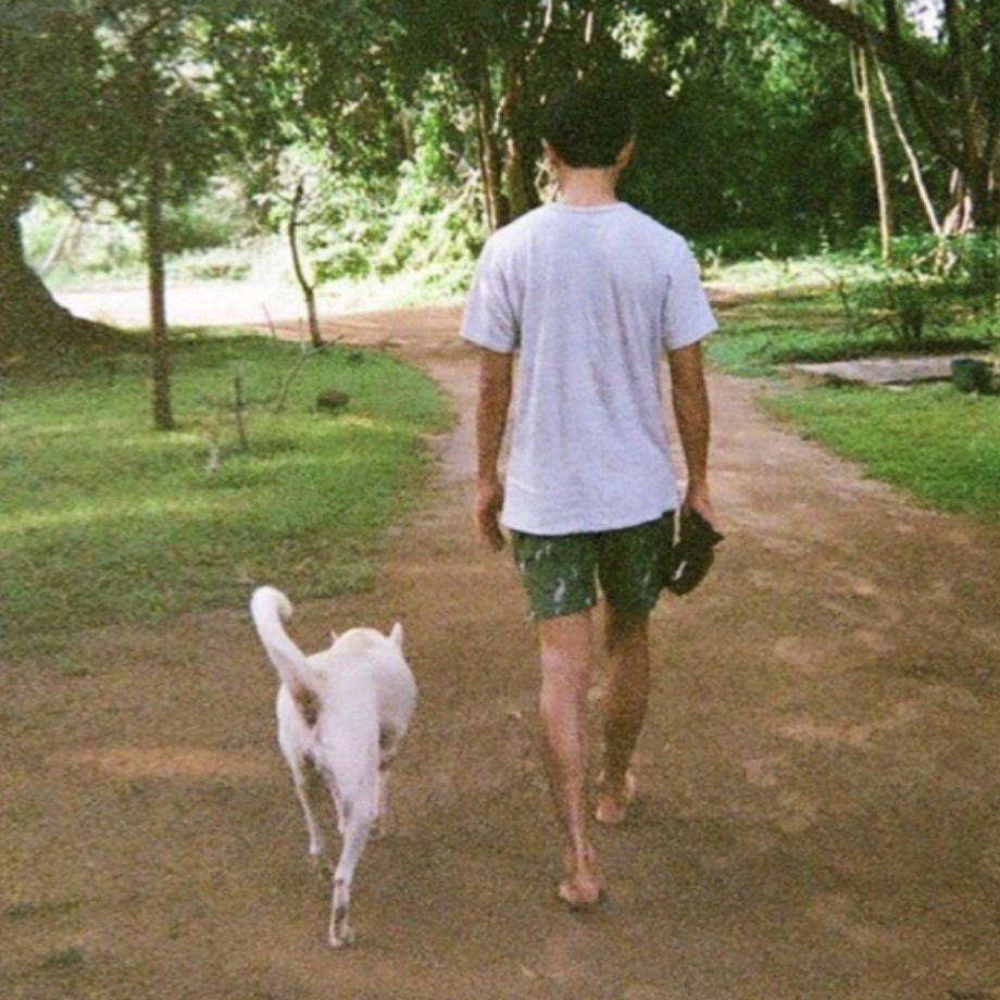 犬にもやさしく