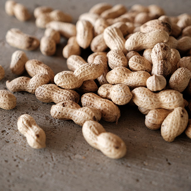 01. 千葉県産落花生を使っていること